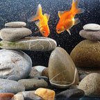 YISZM 20lbs Natural River Rocks, 3"-4" Premium Pebbles for Garden and Landscape Design, Hand-Picked Smooth Stones for Fish Tank, Flower Pots, Indoor Water Fountains, Pathways, Backyard