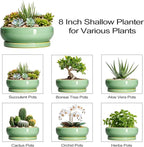 Succulent Planters - 8 Inch Ceramic Bonsai Pots with Drainage Hole and Plant Tray, Round Planter for Indoor Outdoor Plants, Shallow Planter Bowl, Room Decor, Housewarming Gifts, Light Green
