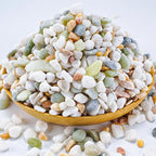 TOYPOPOR Mixed Color Decorative Rocks Stones Pebbles for Plants Garden Gravel White Rocks with Yellow, Green Pastel Accents Vase Fillers Natural Stone Top Dressing for Potted Plants Succulents 6 lbs