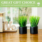 MyGift Tabletop Artificial Grass Plants Decorative Faux Greenery Plant Potted in Modern Cylindrical Black Cement Pots, Set of 2
