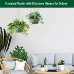 Koalaime Hanging Planter Self Watering 10 Inch, 2 Pack Indoor Outdoor Hanging Baskets, Hanging Flower Pots with Drainage Hole & 2 Kinds of Plant Hangers for Garden Home Decor(Green)…