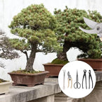 5 Piece Bonsai Tool Set, Carbon Steel Bonsai Scissors Rake Branch Cutter Pruning Shears Pliers Garden Tools