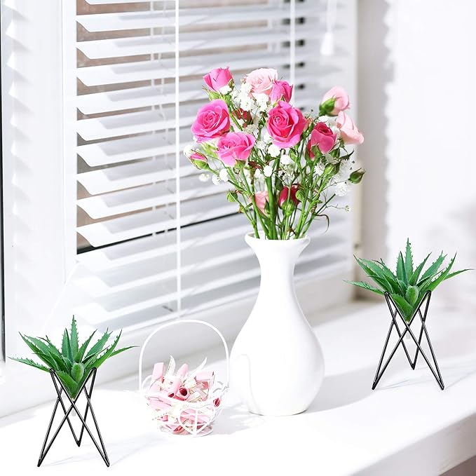 Jetec 6 Pcs Air Plant Holder Airplants Live Holders Airplants Rack Black Metal Desk Plant Rack for Home Office Study Balcony Garden Patio Wedding Decoration Gift
