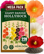 225+ Hollyhock Flower Seeds, Pack for 2026 USA Premium Non-GMO Carnival Mix Giant Hollyhock Seeds - Home Garden Flower Perennial