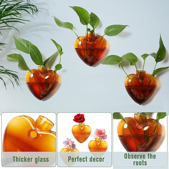 Wall Hanging Planter Propagation Station for Indoor Plants Glass Vase Air Plant Holder Gift for Women Girlfriend Plant Lover