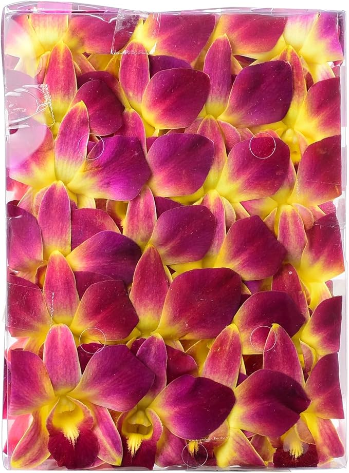Miami Fresh Orchid Flower OrchidClub USA Sunne Tropical Loose Bloom DIY Lei Food Drink Decoration (50 YELLOW)