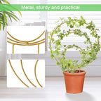Hoya Trellis 3 Size Indoor Plants Flower Support Stakes Round or Heart Metal Trellis Set Garden Tool Accessories for Small Potted Vine Climbing Houseplants (GoldenC)