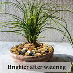 FANTIAN 40 lbs Aquarium Gravel, 2/5 Inch Pea Gravel for Fish Tank, Decorative Rocks for Freshwater Tank, Outdoor Pond, Garden Landscaping, Terrarium, Soil Drainage
