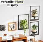 Bamworld Hanging Planters for Indoor Plants Wall Decor Living Room Plant Stand Indoor Wall Planters Plant Hanger Window Plant Shelves 3 Pack for Outdoor Entryway