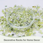 Pulovin 5 lbs Jade Pebbles for Indoor Plants, Decorative Pebbles for Bamboo, Vase, 3/8" Plant Gravel for Pots Indoor, Highly Polished Small River Rocks