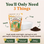 Seedboy Organic Cat Grass Seeds for Planting, Non-GMO Wheat, Oat, Rye, and Barley Cat Grass for Indoor Cats (8 oz)