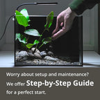 NICREW 2.5 Gallon Nano Nature Aquarium Kit, Ultra-Clear Rimless Desktop Fish Tank with Light and Filter, Perfect for Small Fish, Shrimp, or Betta, Basic Version, Black