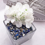 Crystals Chips Bulk Crushed Quartz Lapis Lazuli Stones 0.5 Lb/230g, Natural Irregular Shaped Healing Gravels Pebbles Decorative Stones for Fish Tank||Vase Filler|Succulent Plants Decor