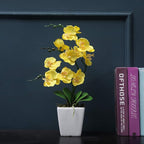 15" Tall Artificial Silk Phalaenopsis Orchid Flower Plant Pot Arrangements (Yellow)