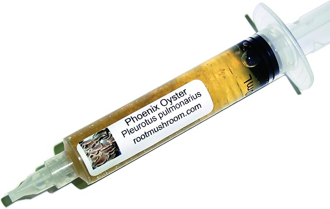 Root Mushroom Farm- Mushroom Liquid Cultures/10ml Syringe/Phoenix Oyster Mushroom(Pleurotus pulmonarius)