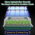 BlumWay Seed Starter Tray with Grow Light,2 Pack 80 Cells Seedling Tray Kit with Humidity Dome/Indoor Plant Starter Kit, Adjustable Brightness Plant Germination Trays-Green