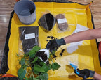 UpBloom - Plant Therapy Kit for Indoor Potting, Repotting and General Household Plant Care