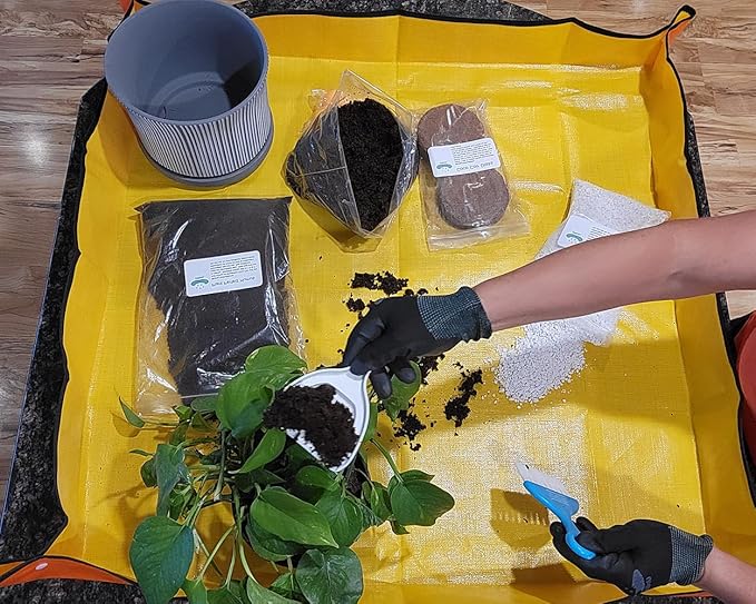 UpBloom - Plant Therapy Kit for Indoor Potting, Repotting and General Household Plant Care