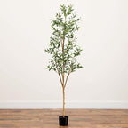 Artificial Potted Olive Tree - 6' - Green
