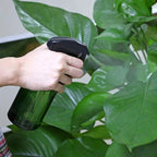 driew Plant Mister Spray Bottle, Plant Mister Water Spray Bottle for Plants Misting Bottle Water Fine Mist, Cleaning Solutions, Gardening, Indoor, Outdoor (Green - 10oz)