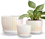 Ton Sin White Plant Pots,Pearl Gold Ceramic Flower Pots 4"+5"+6" Inch Indoor Succulent Pot with Drainage Hole - Decorative Orchid Pots and Herb Pots Set of 3