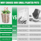 BTPLASTIK 50 Pack 2.5 Inch Clear Nursery Pots for Plants, Sturdy Plastic Plant Pot for Planting Vegetables Flowers Seedlings, Transparent Seed Starter Pots with Drainage Holes, garden, Gardening Gifts