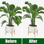 FEED GARDEN 6 Pack Plant Support Stakes, Peony Cages and Supports, Metal Garden Plant Stake(10" Wide x 16" High) Green Half Round Plant Support Rings for Outdoor Indoor Plants, Tomato, Hydrangea