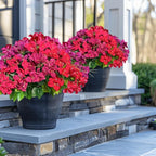 Artificial Bougainvillea Spring Flowers Faux Plants for Outdoors, Fake UV Resistant Look Real Silk Colorful Greenery for Outside Porch Planters Patio Summer Decoration, 8 Bundles