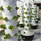 FLTRGO Garden Hydroponic Growing System Vertical Tower Automate Aeroponics Mini Indoor Outdoor Home Grow Herb Without Led Light,Hydroponic Growing Kits Systems (White Light)