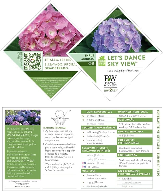 Proven Winners 2 Gal. Let's Dance Skyview Hydrangea Shrub