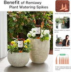 REMIAWY Plant Watering Stakes 6 Pack Automatic Plant Waterers for Vacations, Terracotta Self Watering Spikes for Wine Bottles Indoor & Outdoor Plants