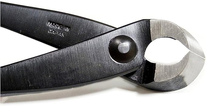 TinyGreen Japan Bonsai Tool: Professional Grade Japanese Concave CuttersQ