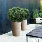 21-Inch Artificial Topiary Boxwood Ball Trees (Set of Two) – Lifelike, UV-Resistant Decor for Indoor & Outdoor Use – Enhance Your Space with Vibrant Greenery