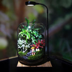 SARUFO Glass Plant Terrarium Kit, 6.3"X8.6" Micro-Landscape Vase with Light, Snowman and Pine Trees, for Home Office Tabletop Decoration, Wardian, Unique
