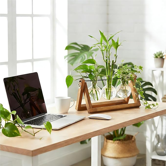 Plant Propagation Stations with Wooden Stand & 3 Glass Bulb Vases - Plant Terrarium for Indoor Plants, Home Office Desk Decor, Gardening Gifts for Women Mom, Birthday Gifts for Plants Lovers