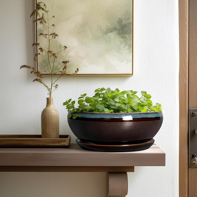 SQOWL Bonsai Tree Pots - 10 Inch Ceramic Succulent Pots with Drainage Hole and Saucer, Round Shallow Plant Pot Indoor Outdoor, Ceramic Bonsai Pot, Bowl Planter, Home Decor, Garden Gifts, Blue-Brown
