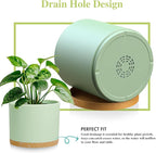 Large Plant Pots Set of 3 – 8", 9", 10" Indoor Flower Pots with Drainage Holes and Saucers, Big Planters for Monstera, Fiddle Leaf Fig, Snake Plant – 5 Colors