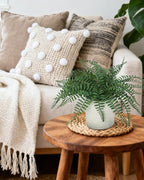 Coferset Fake Fern Small Fake Plant Fern Artificial Plants in Pot Realistic Faux Ferns Indoor for Bathroom Shelf Desk Home Office Kitchen Farmhouse Decor(Gray Pot)