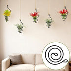 6 Pcs Hanging Air Plant Holders with Jute Ropes, Soilless Air Plant Stand Adjustable Rust-Resistant Iron Rings for Home Office Decor