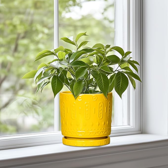 6 Inch Pots for Plants, Ceramic Pots for Plants with Drainage Holes and Tray, Round Planter for Indoor Outdoor, Modern Plant Pot, Decorative Flower Pot, Table Decor, Teacher Gift, Yellow