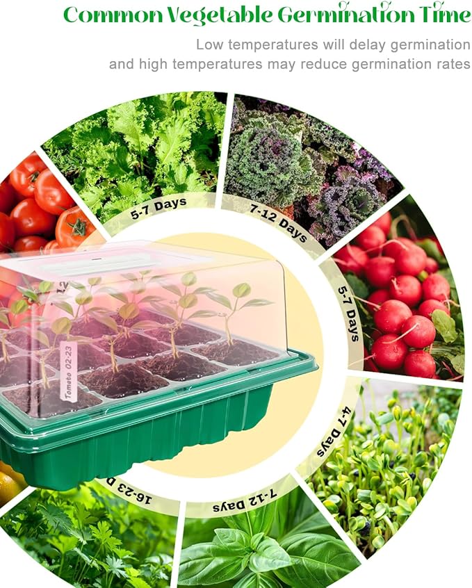 Seed Starter Tray with Grow Light (2x 24-LED), 2 Pack Seed Starter Kit with Humidity Domes and Timing Controller, Adjustable Brightness, Reusable Seedling Starter Tray, Thicken Seed Starting Trays
