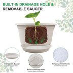 6 Pack 10 inch Plant Pot, Outdoor Pots for Plants with Drainage Hole & Tray Saucer, Round Plastic Plant Pot, Decoration Flower Pots for Indoor Plants Home Garden Outdoor Planters (Gray White)