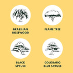 Garden Republic Bonsai Tree Kit - Mini Bonsai Seeds, 4 Types - Seed Starter Plant Growing Kit - Potting Soil Jute Bags Pruning Shears Tool and Plant Markers