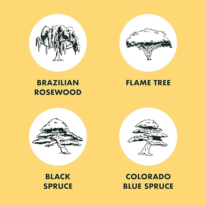 Garden Republic Bonsai Tree Kit - Mini Bonsai Seeds, 4 Types - Seed Starter Plant Growing Kit - Potting Soil Jute Bags Pruning Shears Tool and Plant Markers