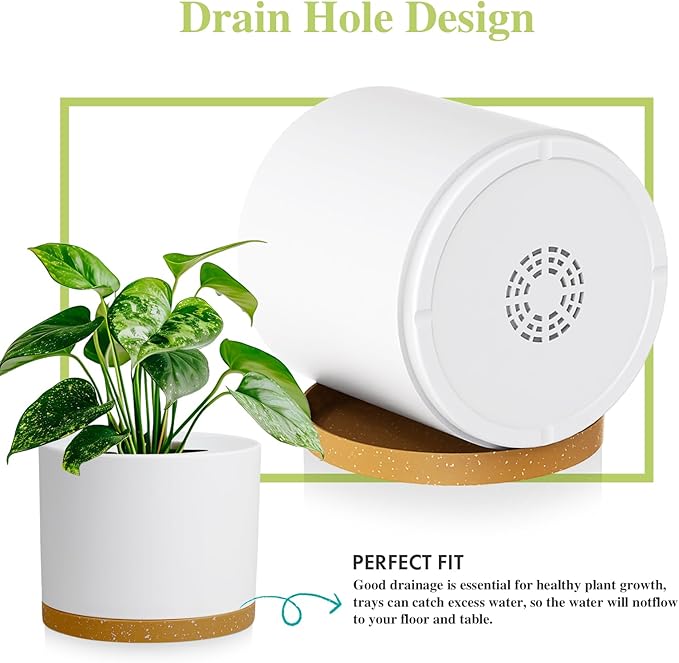 Large Plant Pots Set of 3 – 8", 9", 10" Indoor Flower Pots with Drainage Holes and Saucers, Big Planters for Monstera, Fiddle Leaf Fig, Snake Plant – 5 Colors