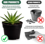 50 Pack 6 Inch Nursery Pots, Plastic Flower Pots, Thick Plant Pots with Drainage Hole for Planting Outdoor/Indoor Plants Succulent Herb (Black)