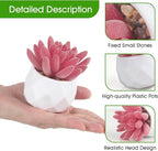 ZINHO Fake Succulent Plant Set 6 PCS Artificial Succulent Plants for Desk Realistic Faux Succulents in Plastic Pots Mini Colorful Succulent Decor for Bedroom Office Shelf Decor (Pink)