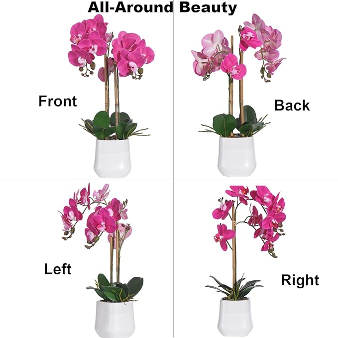 Orchids Artificial Plant in Ceramic Pot 18.5" Faux Orchid Phalaenopsis Flowers Arrangement for Home Office Table Centerpiece Indoor Decor, Fuchsia
