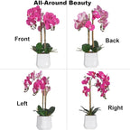 Orchids Artificial Plant in Ceramic Pot 18.5" Faux Orchid Phalaenopsis Flowers Arrangement for Home Office Table Centerpiece Indoor Decor, Fuchsia