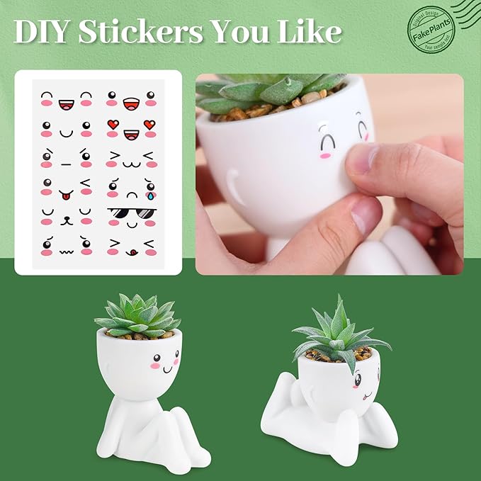 Der Rose 2 Pack Fake Plants Succulents Plants Artificial for Living Room Home Bathroom Office Decor